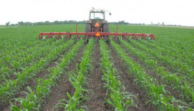 Культивация - это основной способ обработки почвы в сельском хозяйстве