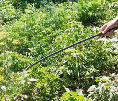 Луковая шелуха для огорода или сада: применение в качестве удобрения и средства борьбы с вредителями