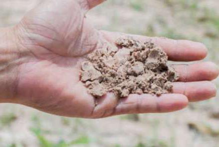 Дерново-подзолистые почвы: характеристика, использование