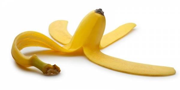 Банановая кожура как удобрение для комнатных растений и огорода