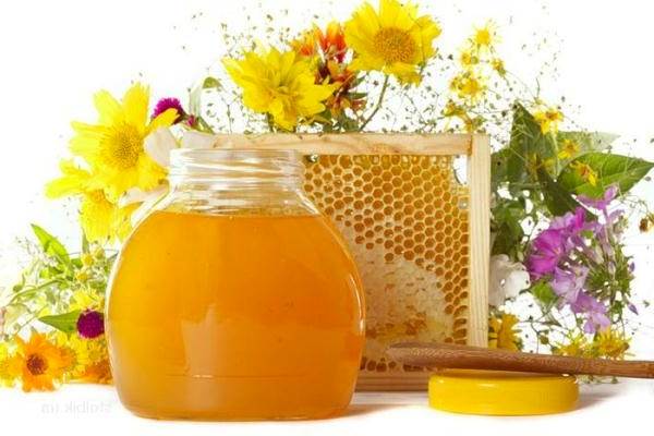 Основные характеристики мёда из разнотравья