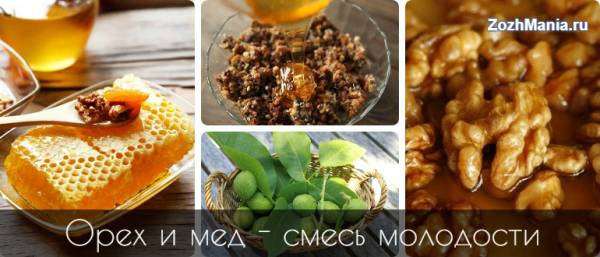 Зачем смешивают грецкие орехи с медом и как их едят