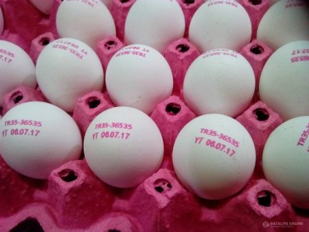 Категории куриных яиц: какие бывают и чем отличаются