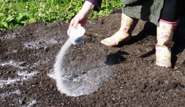 5 способов, как раскислить почву на огороде