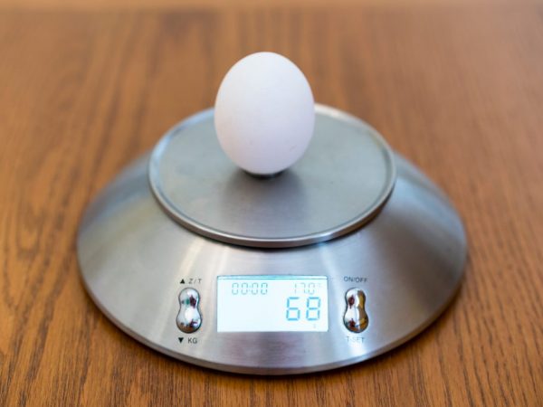 Вес куриного яйца без скорлупы